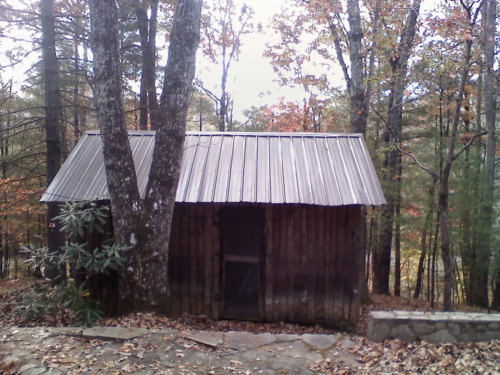 New metal gable roof on a small log shed among the trees in Springs